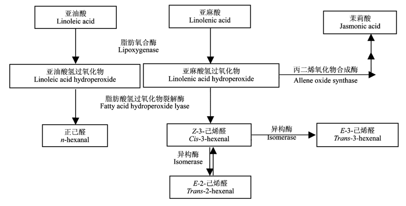 Review Of Recent Advances On The Production And Eco Physiological Roles Of Green Leaf Volatiles