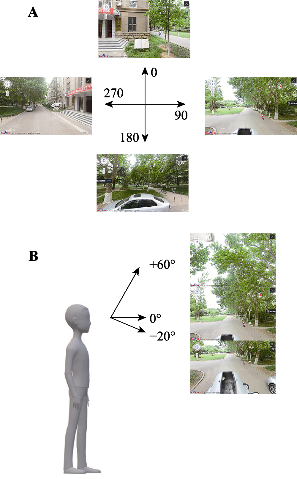 Pedestrian-view urban street vegetation monitoring using Baidu 